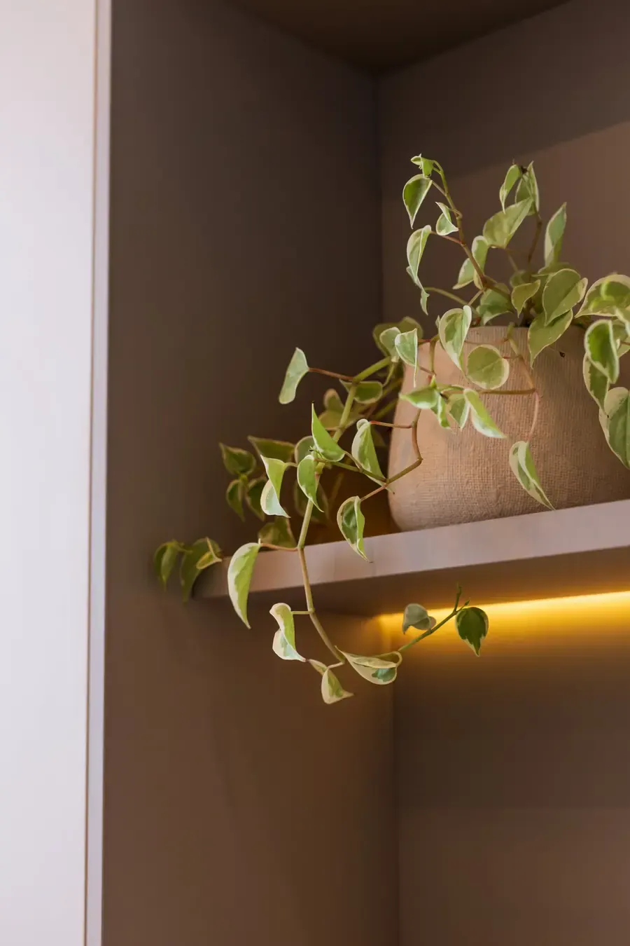 Detalhe do ambiente da clínica com iluminação suave